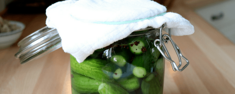 Sylteagurk - fermentert agurk som du kan lage på 1-2-3
