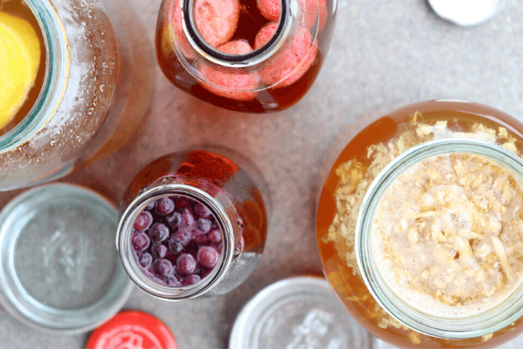 Kombucha grunnoppskrift - kan gis i små mengder fra 3 år