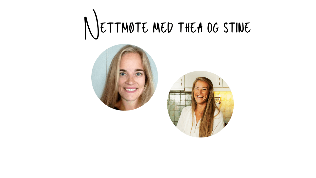Webinar og hjemmeside (15)