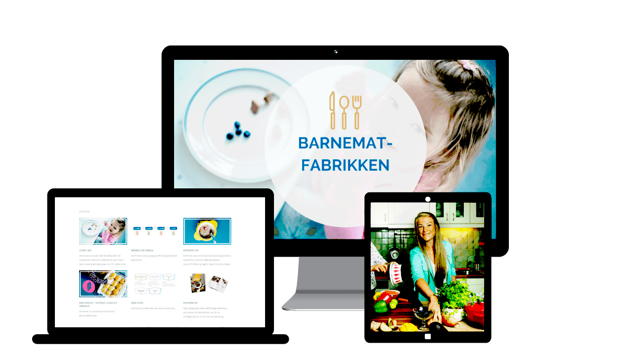 Webinar og hjemmeside (40)