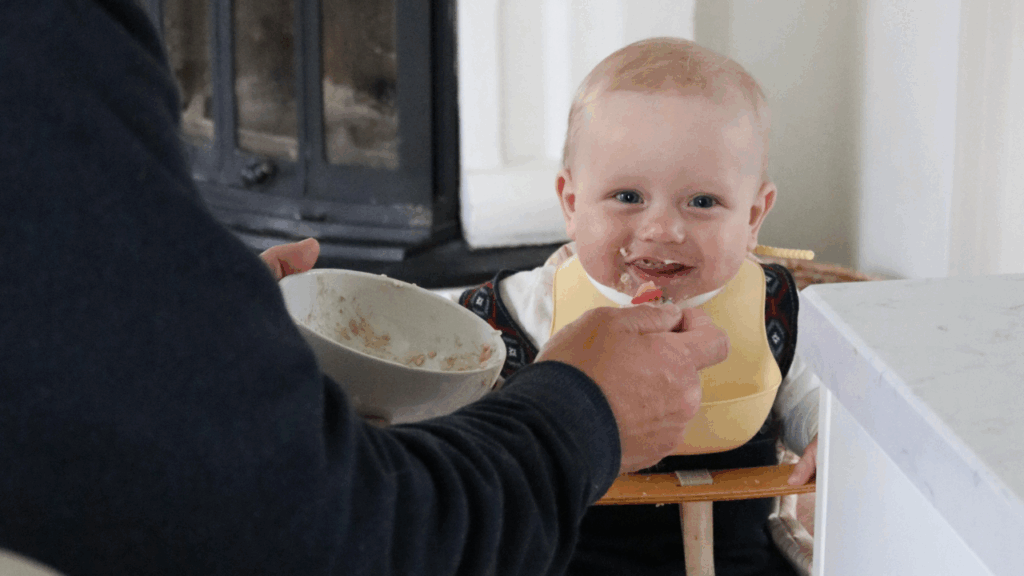 Bare Bra Barnemat - hvordan lage barnematen selv