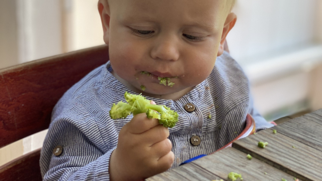 Bare Bra Barnemat plukkemat fra start